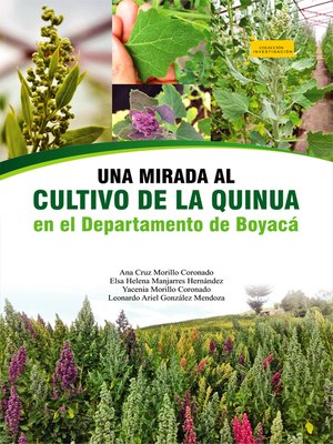 cover image of Una mirada al cultivo de la quinua en el departamento de Boyacá